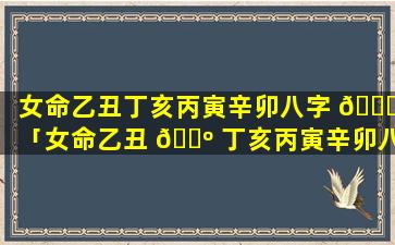 女命乙丑丁亥丙寅辛卯八字 🍁 「女命乙丑 🌺 丁亥丙寅辛卯八字解析」